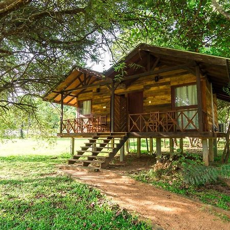 Eighth Wonder Resort Sigiriya Eksteriør bilde