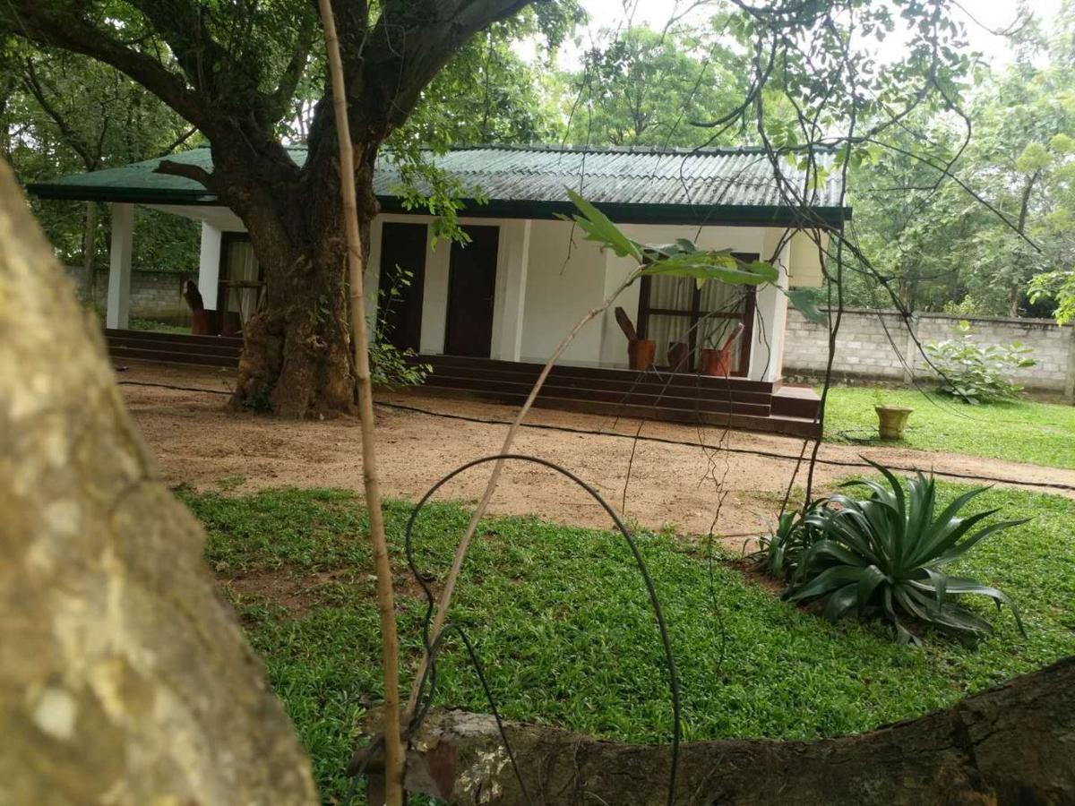 Eighth Wonder Resort Sigiriya Eksteriør bilde