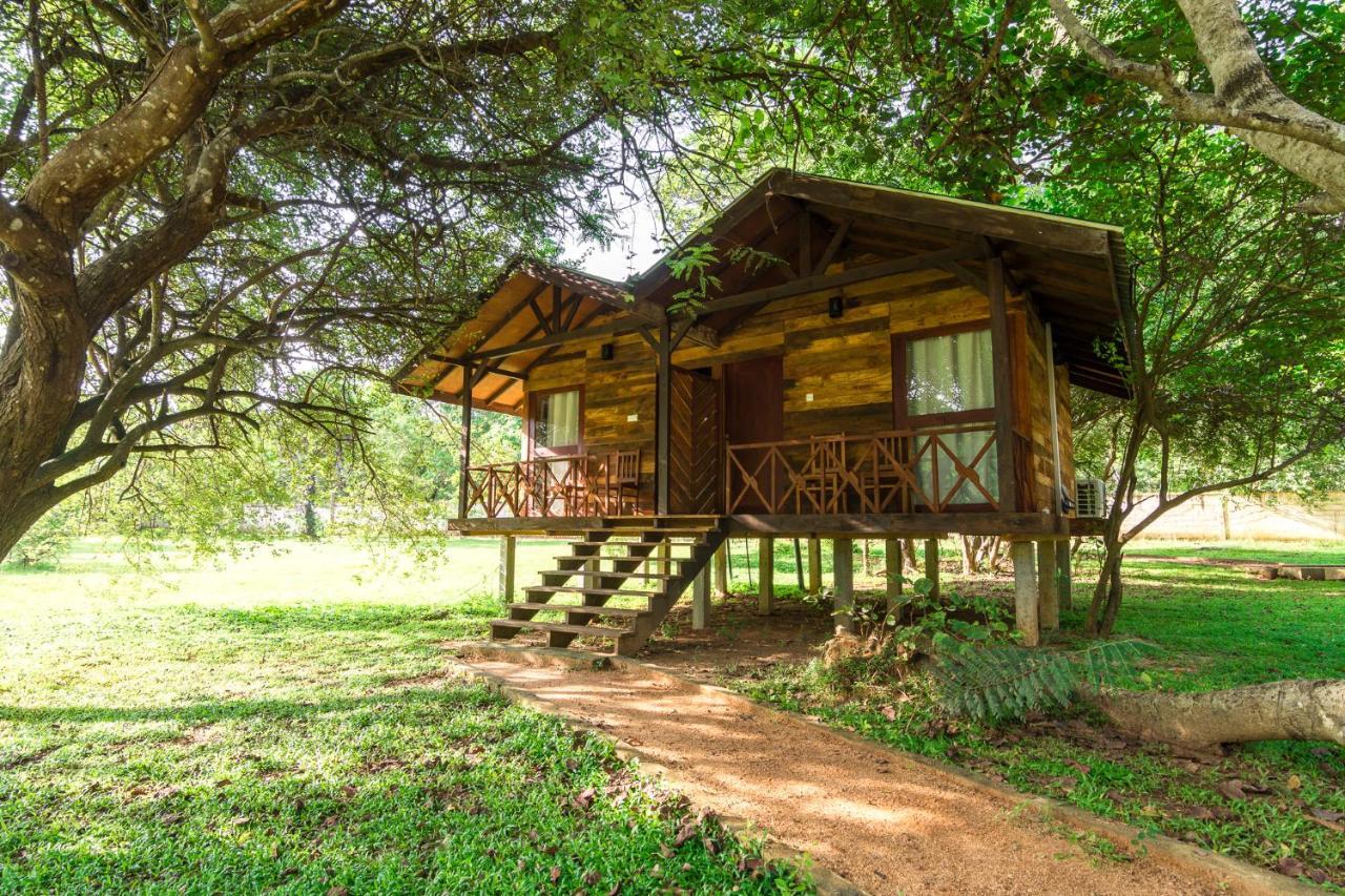 Eighth Wonder Resort Sigiriya Eksteriør bilde