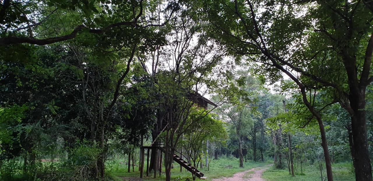 Eighth Wonder Resort Sigiriya Eksteriør bilde