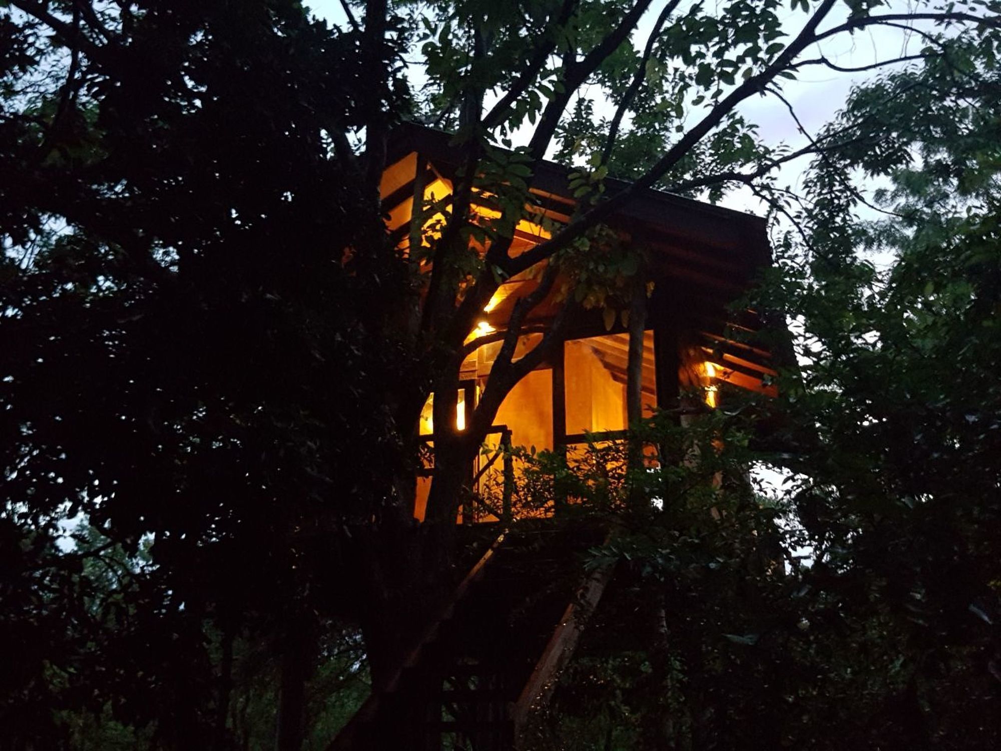 Eighth Wonder Resort Sigiriya Eksteriør bilde